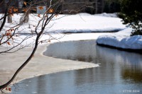 /album/%e6%98%a5/%e6%98%a5%e3%81%ae%e6%83%85%e6%99%af%e3%80%80%ef%bd%9e%e9%9b%aa%e8%9e%8d%e3%81%91%e3%81%ae%e5%85%ac%e5%9c%92%e3%81%ab%e3%81%a6%ef%bd%9e-jpg/